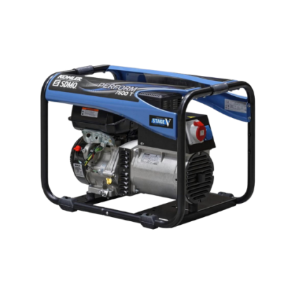 Generatorius trifazis (6,5 kW) PERFORM 7500 T C5