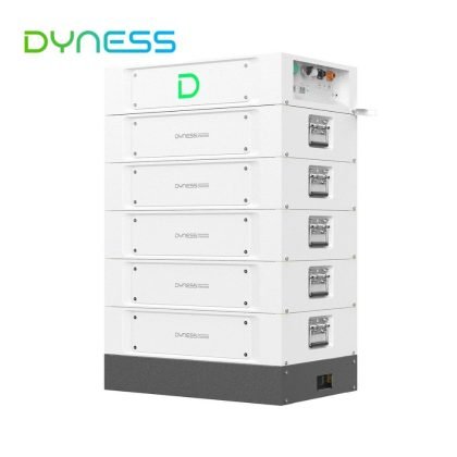 Dyness STACK100 20.48 kWh (su pašildinimo funkcija)