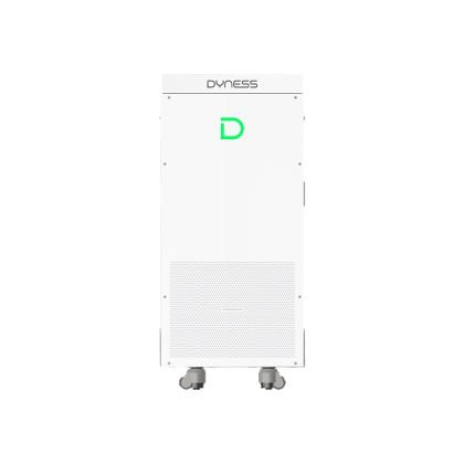 DYNESS POWERBRICK PLUS